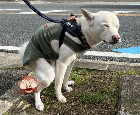 【蹲踞エロ画像】ウンチングスタイルな座り方がこんなにエロい。